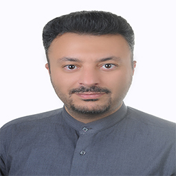 مهندس سید مقداد سید محمدی